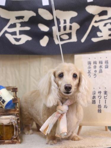 20240629グラちゃん